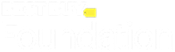 Best Buy Foundation logo